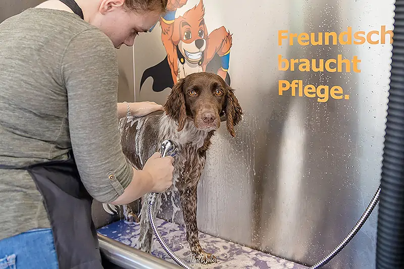 Dog Wash - Waschpark Götzens